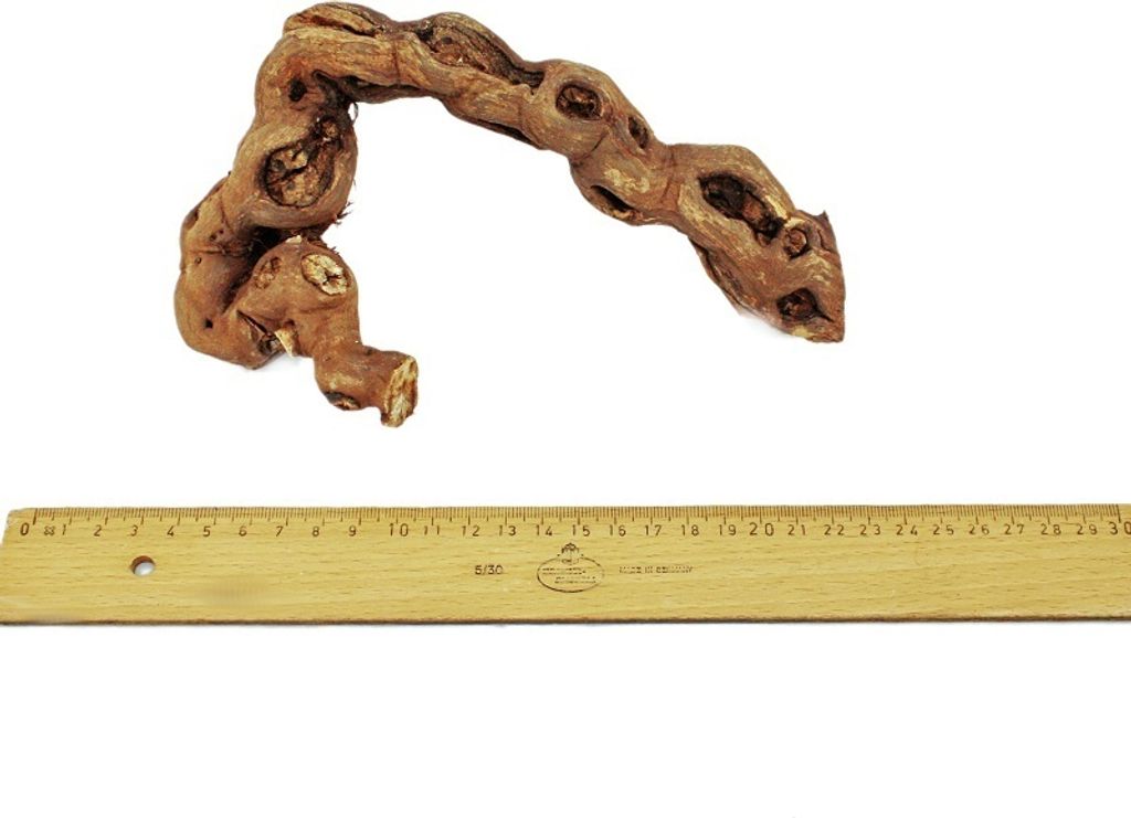 Rebholz 18-20 cm Produktbild 2