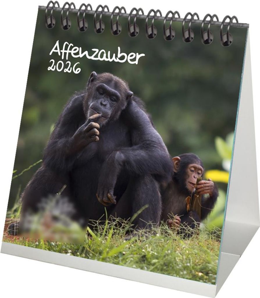 Affenzauber Tischkalender 10cm x 10cm für 2026 Affen - Geschenkset Inhalt: 1x Kalender 1x Weihnachtsanhänger 1x Grußanhänger (gesamt 3 Teile)