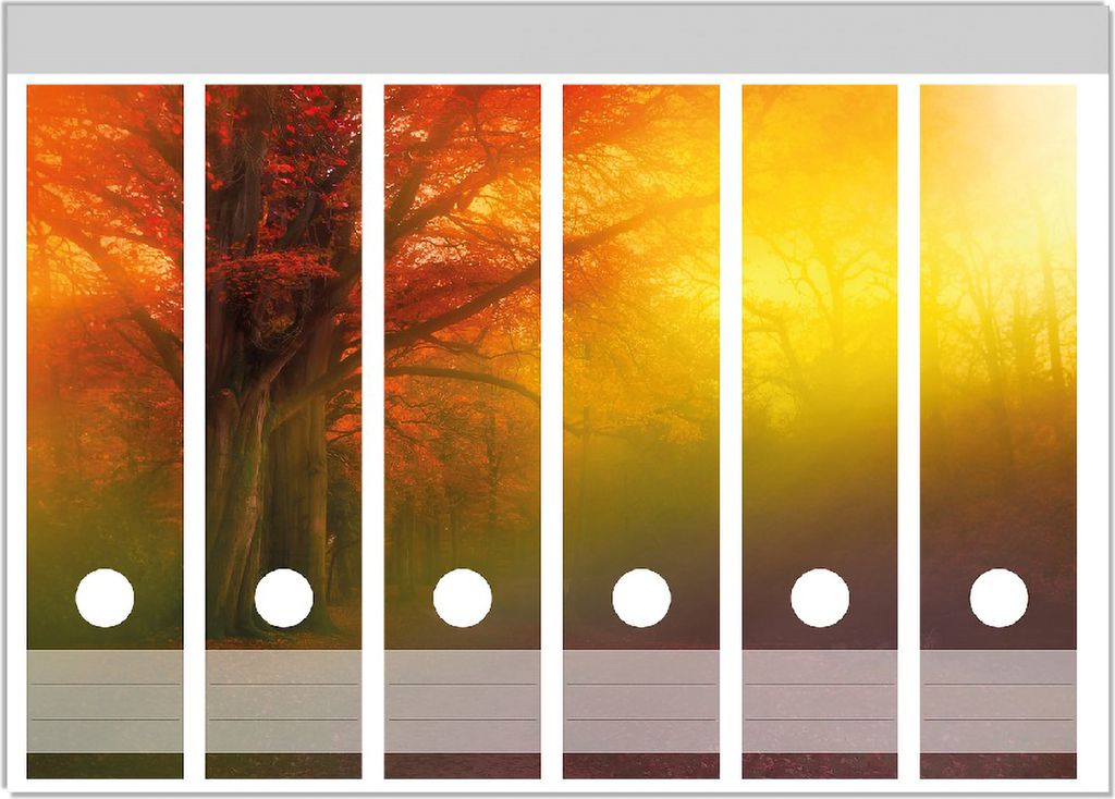 Wallario Ordnerrücken Sticker, selbstklebend für breite Ordner, 6 Stück, Motiv Bunter Herbst - Waldlandschaft bei Nebel in Regenbogenfarben