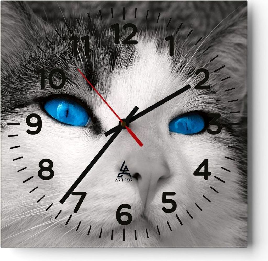 Wanduhr - Quadrat - Glasuhr - Katze Tiere blaue Augen - 40x40cm - Schleichendes Uhrwerk - Lautlos - zum Aufhängen bereit - Dekoration Modern - Wan...