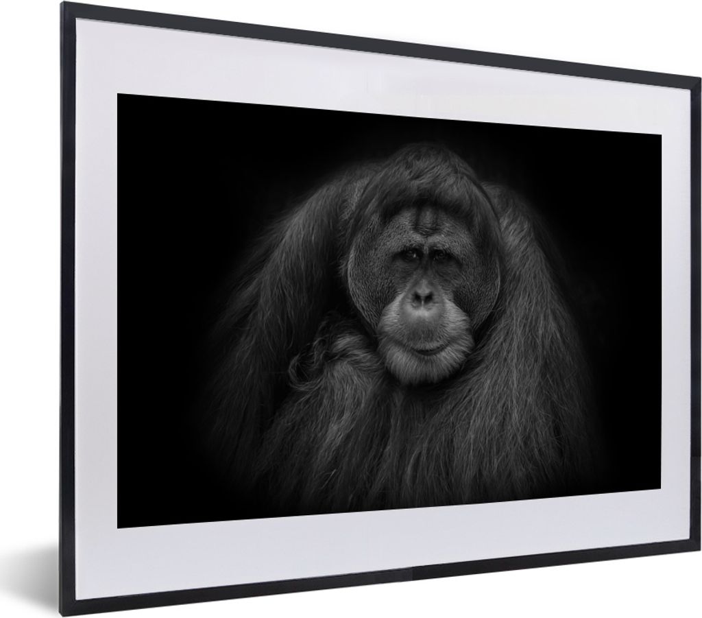 MuchoWow MuchoWow Gerahmtes Poster Orang-Utan-Profil in Schwarz und Weiß 40x30 cm - Poster mit zchwarzem Bilderrahmen - Bilderrahmen - Poster ...