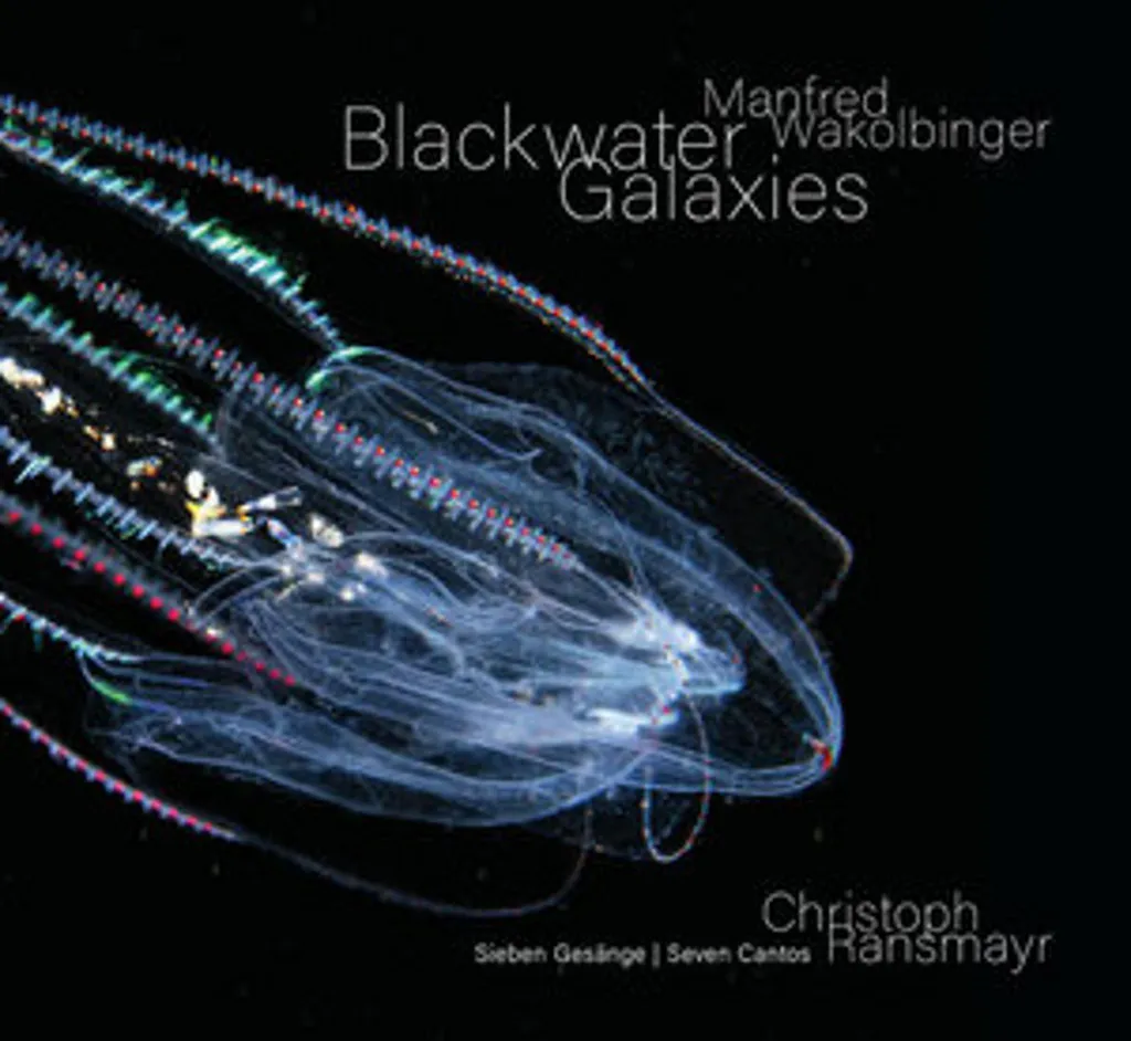 Manfred Wakolbinger - Blackwater Galaxies : L'Art Contre la Monotonie Visuelle