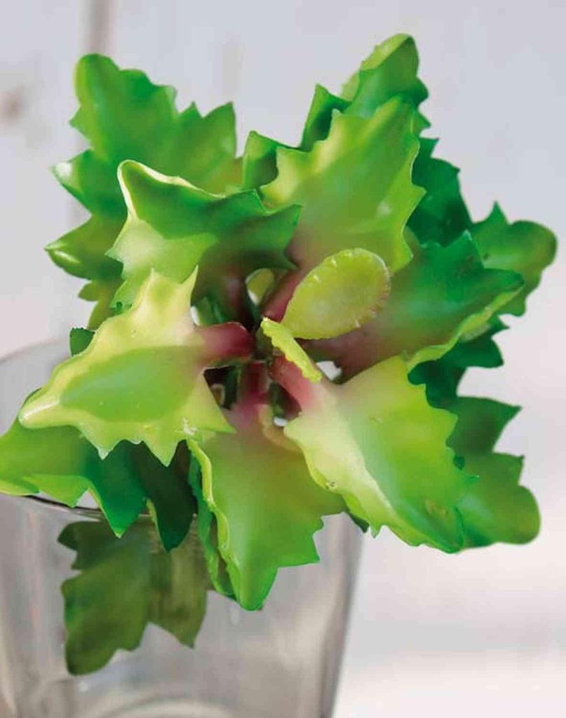 artplants.de Kunst Echeveria rosea Enrica, Steckstab, grün-rot, 12cm, Ø13cm - Echeveria künstlich
