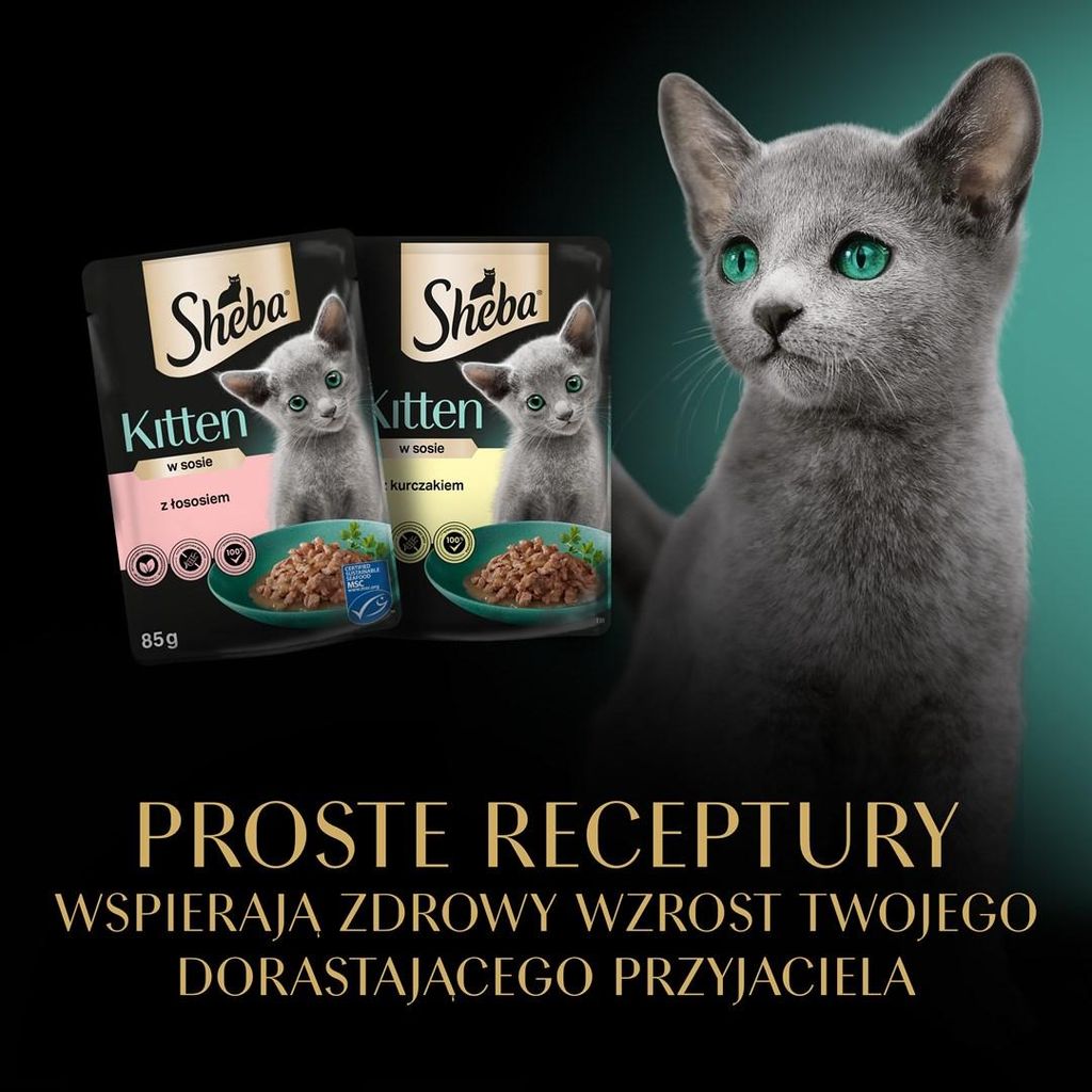 SHEBA Kitten Selection of Flavours in Sauce - Nassfutter