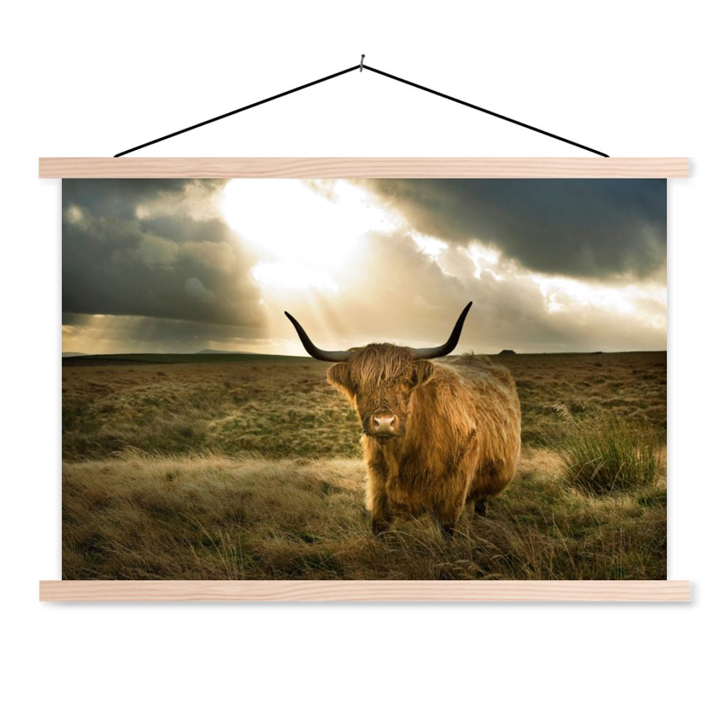 MuchoWow Textilposter Schottischer Hochländer - Sonne - Tiere 60x40 cm mit holzfarbenen Rahmen - Bilder