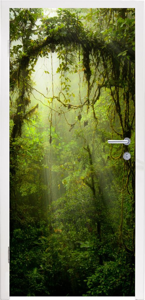 MuchoWow Türtapete Selbstklebende Türfolie Grün getöntes Bild des Regenwaldes von Costa Rica 95x235 cm Türposter Türaufkleber Klebefolie T...