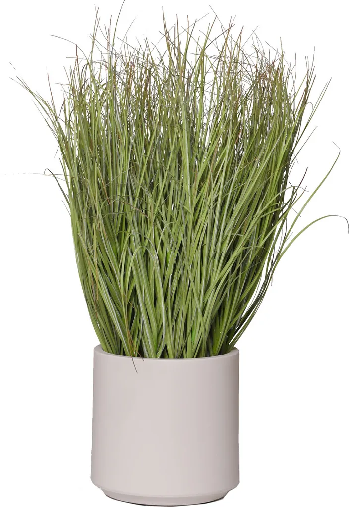 VIVANNO RELVA Pianta Artificiale 30x60cm - Verde Realistico per Interni