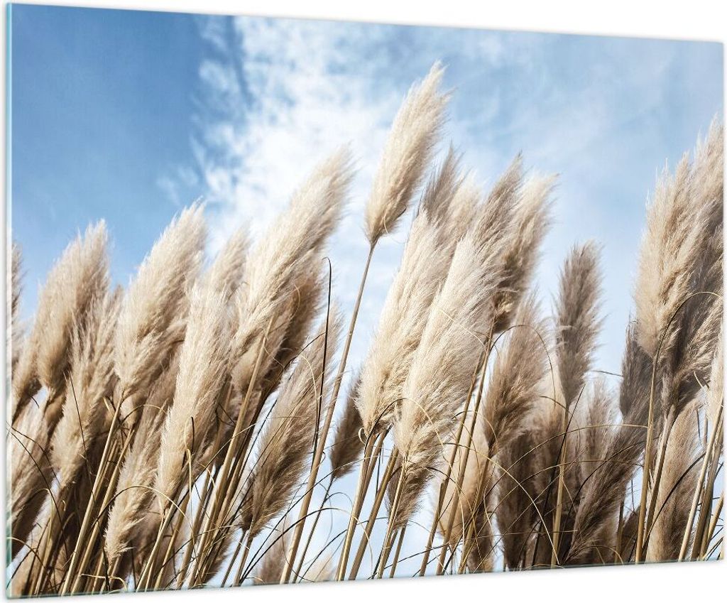 Bilder auf glas - Einteilig - Stock Himmel Boho - 100x70cm - Glasbilder - Wandbilder - Bilder - zum Aufhängen bereit - Wanddekoration aus Glas - G...