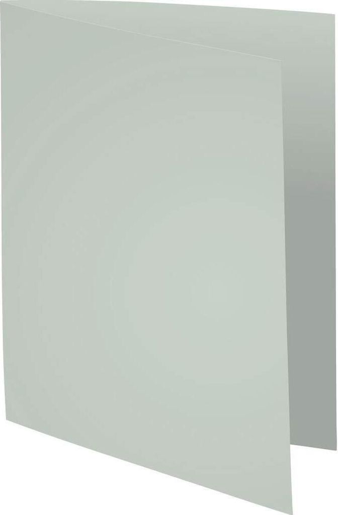 EXACOMPTA Aktendeckel SUPER 250 DIN A4 grau 100 Aktendeckel