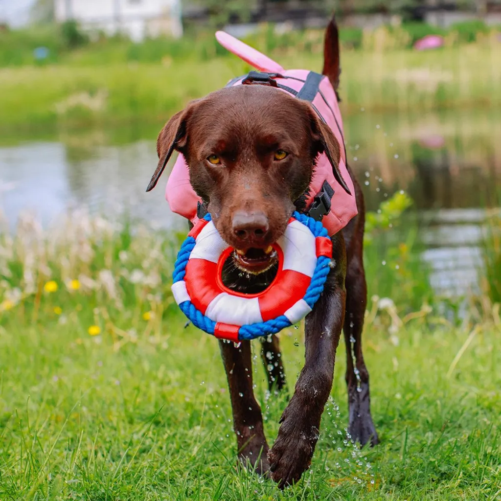 Giubbotto Galleggiante Cane Nobby Sharki Rosa S - Supporto Nuoto 30cm - 4
