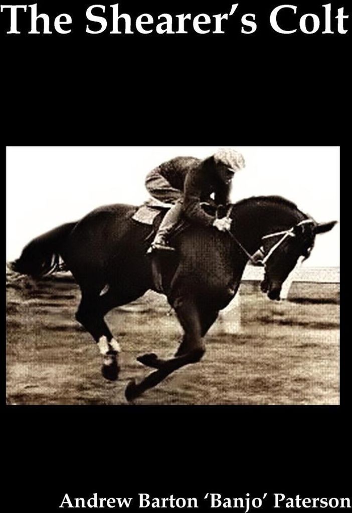 The Shearer's Colt