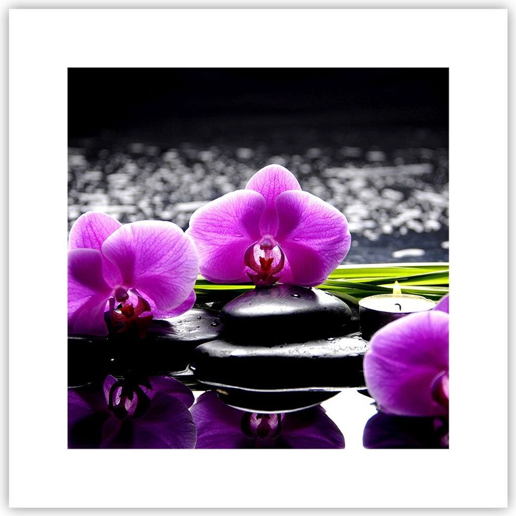 Poster - Poster ohne Rahmen - Orchidee Natur Wasser Blume - 30x30 cm - Wand Bild - Wanddeko - Wandbilder - Kunstposter - Wandposter - Bilder - Kuns...
