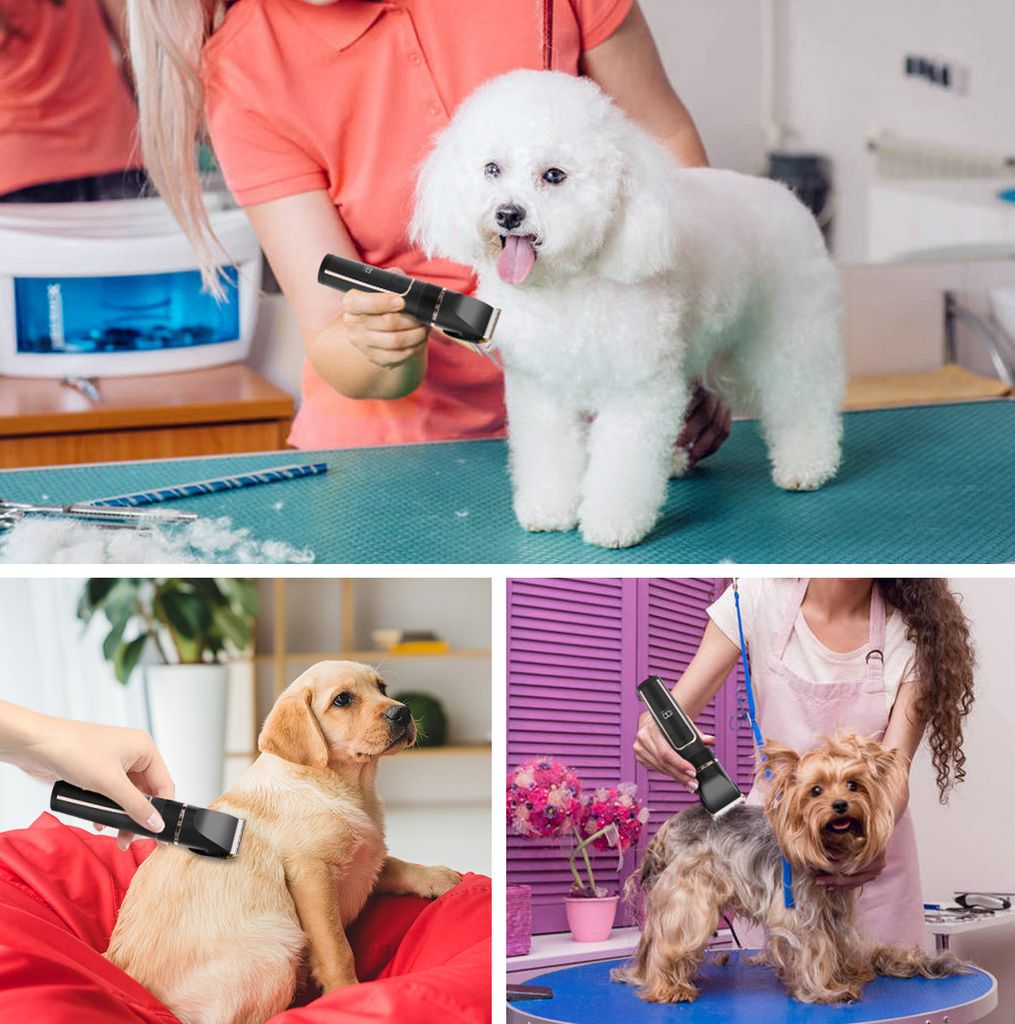 CMYbabee Leise Hundeschermaschine dichtes fell, Produktbild 11
