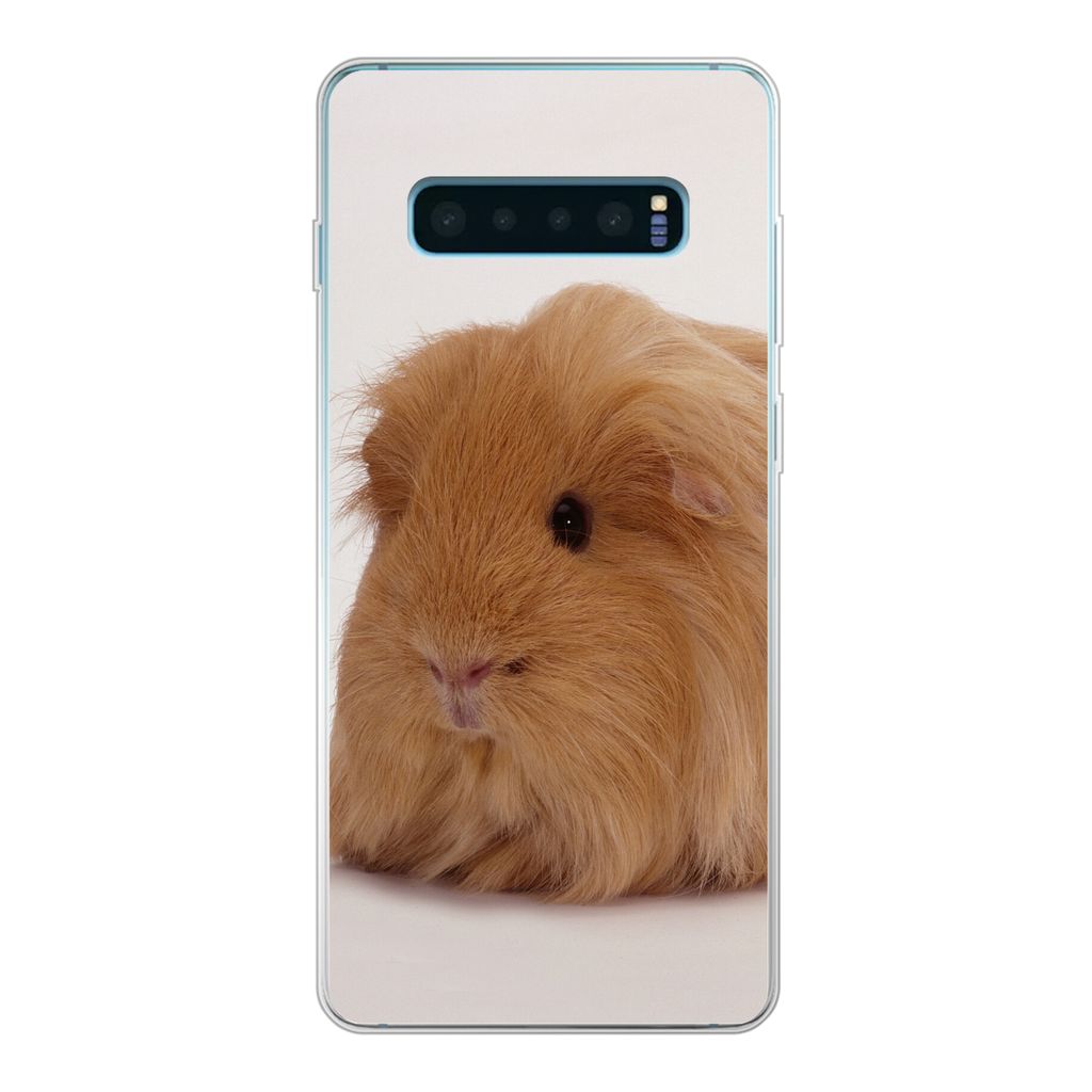 MuchoWow Handyhülle Schutzhülle Hülle für Samsung Galaxy S10 Plus Sheltie-Meerschweinchen Silikon Softcase Handy Hülle - Schutzhülle
