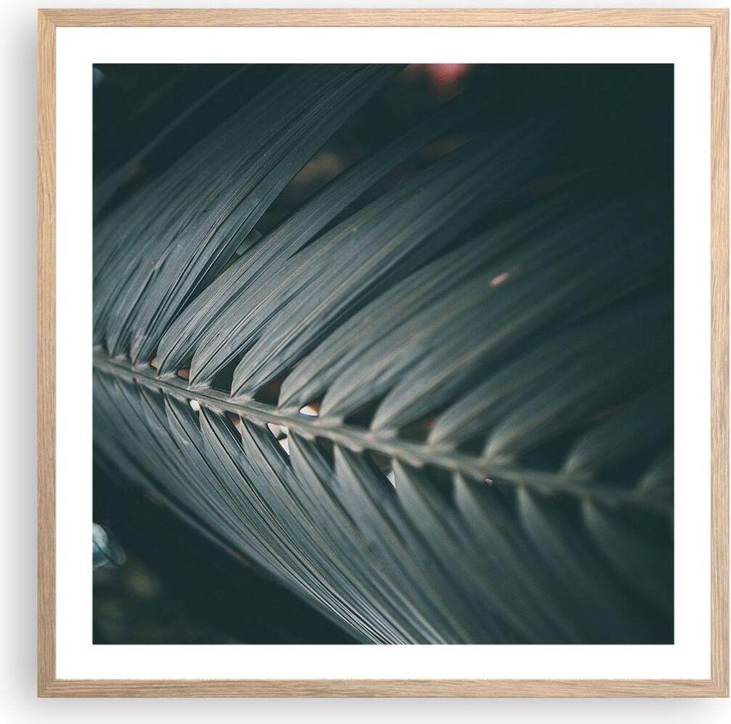 Gerahmtes Poster - Rahmen in heller Eiche - Blatt Palme exotisch - 60x60 cm - Wand Bild - Wanddeko - Wandbilder - Kunstposter - Wandposter - Bilder...