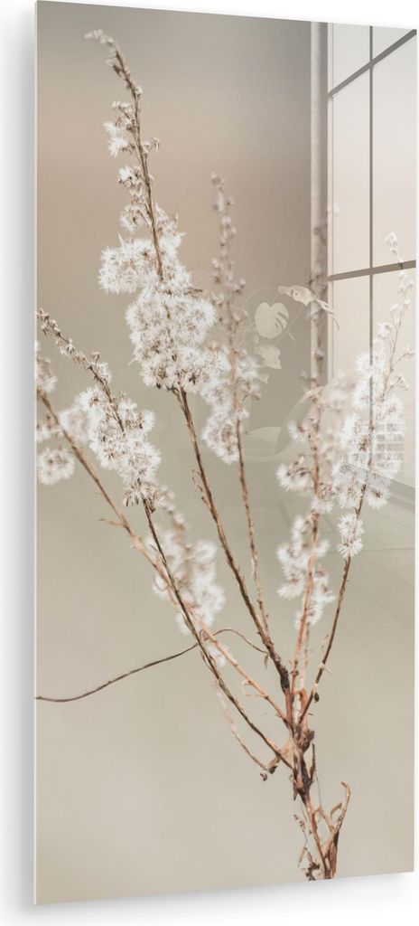 MuchoWow Glasbilder - Bilder auf Wandbild - Foto auf Glas Blumen - Weiß - Pflanzen 40x80 cm Wanddekoration aus Glas - Acrylglasbild - Acrylbilder ...