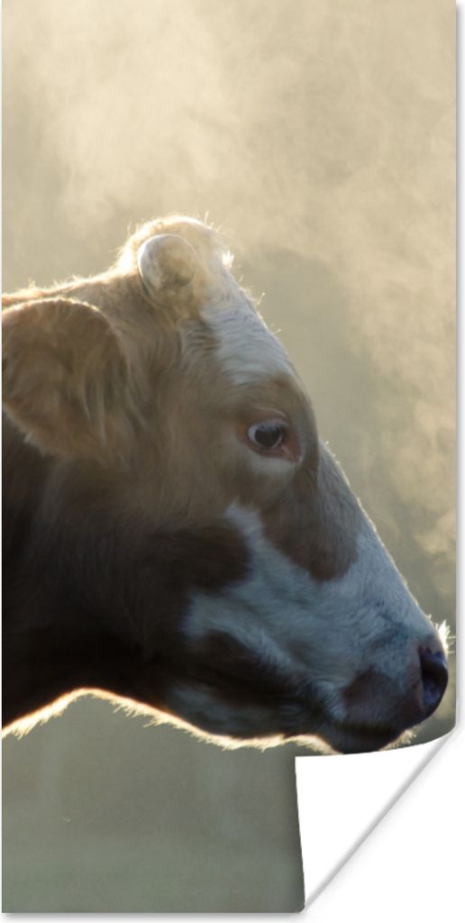 MuchoWow Poster Kuh - Nebel - Sonne 20x40 cm - Plakat - Foto