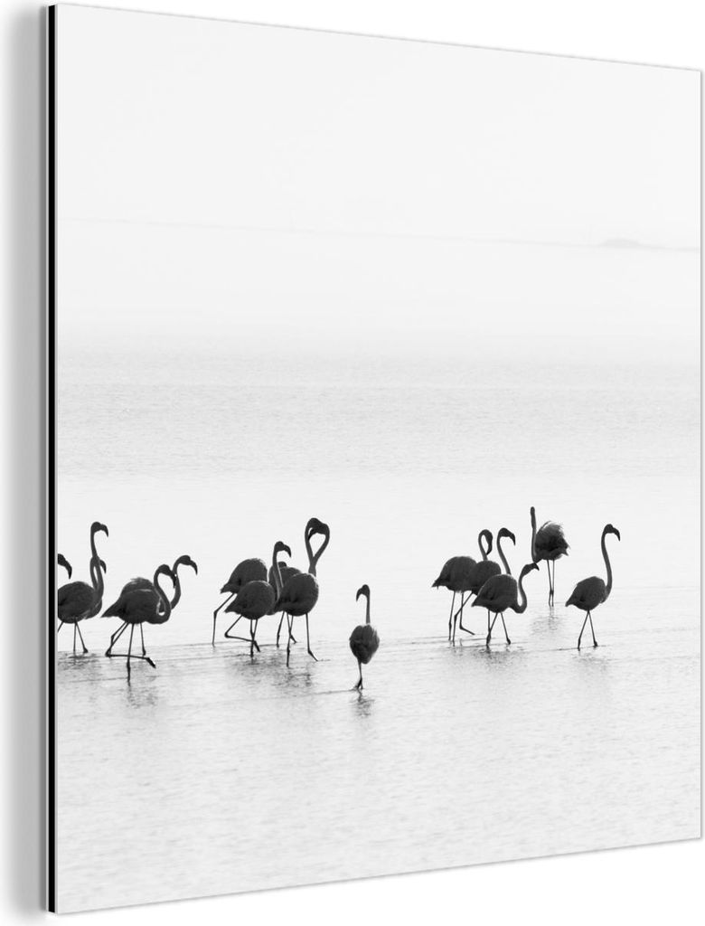 MuchoWow Wanddekoration Metall Metallbild Wandkunst 20x20 cm Flamingos - Wasser - Natur - Schwarz und weiß MuchoWow Aluminium Gemälde - Alu Dibon...