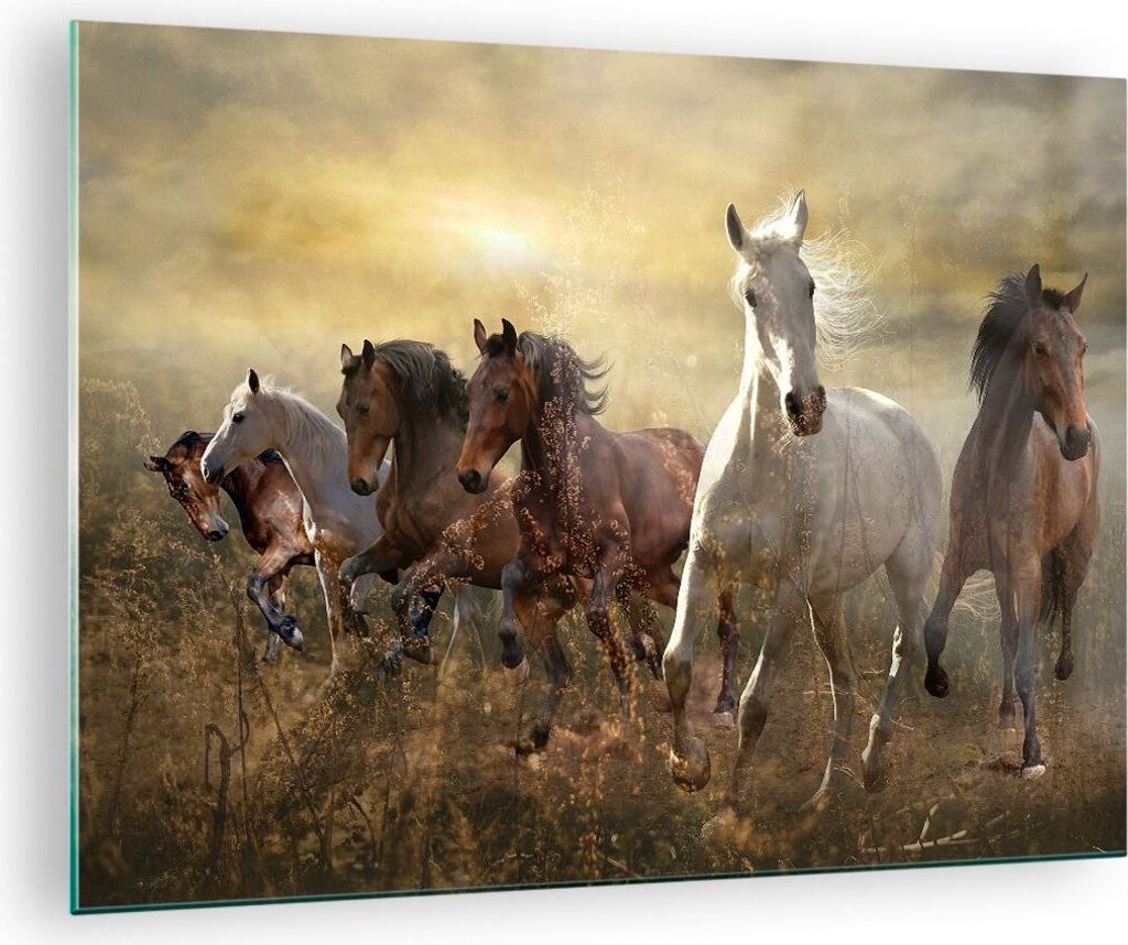 Bilder auf glas - Pferd Tier Natur - 70x50cm - Glasbilder - Wandbilder - Kunstdruck - zum Aufhängen bereit - Wanddekoration aus Glas - Glas Bilder...