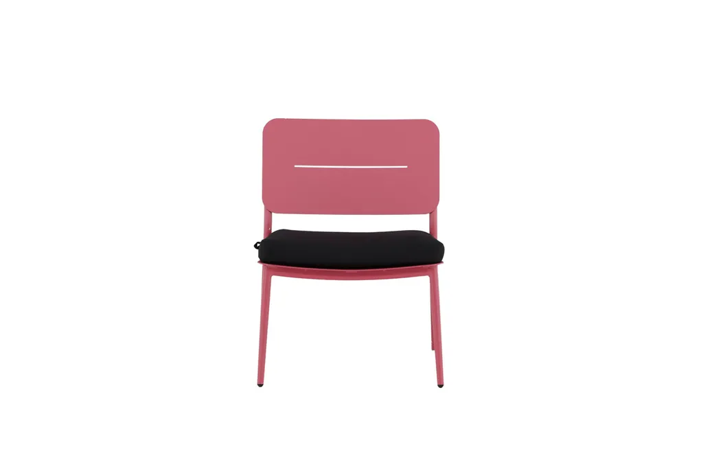 Chaise d'accentuation Lina Rose Lot de 2 : confort et style garantis