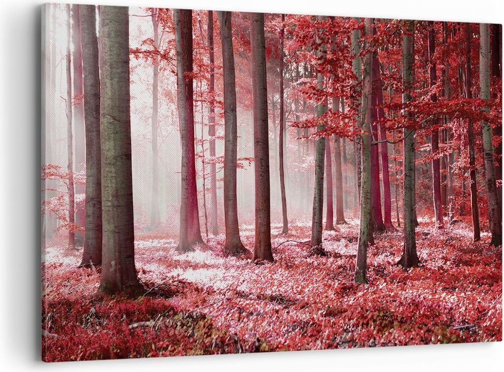 Bild auf Leinwand - Leinwandbild - Einteilig - Wald Rot Bäume - 120x80cm - Wand Bild - Wanddeko - Wandbilder - Leinwanddruck - Bilder - Wanddekora...