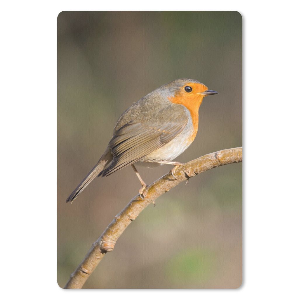 MuchoWow Mauspad Mousepad Rotkehlchen - Vogel - Natur 40x60 cm - Mousepads - Maus Mat - Pad - Mausunterlage - Schreibtisch Accesoire