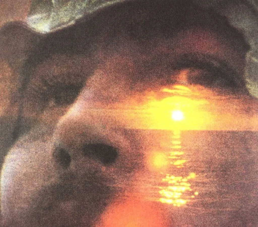 David Crosby Si je pouvais seulement me souvenir de mon nom album folk LP