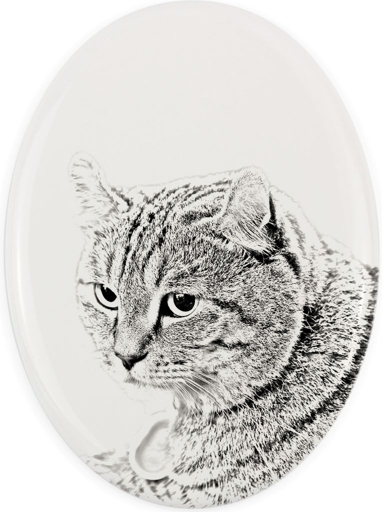 Hochlandluchs - Gedenktafel mit einem Foto einer Katze, Grabplatte mit Druck, personalisierte ovale Platte der Marke Art-Dog