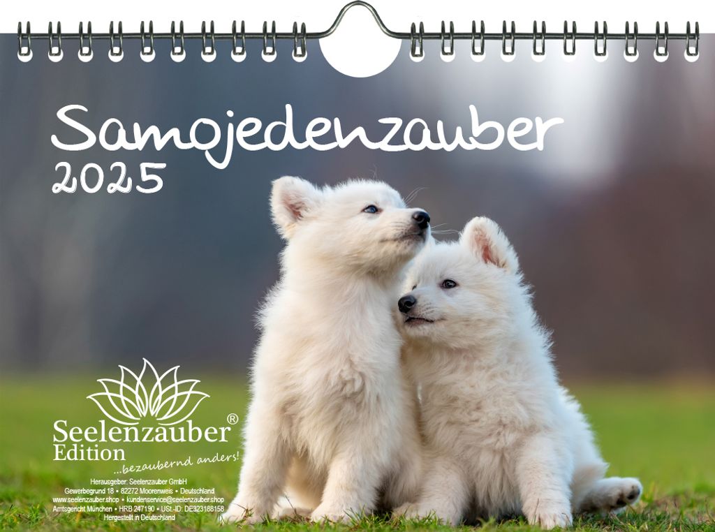 Samojedenzauber DIN A5 Kalender für 2025 Welpen und Hunde - Seelenzauber