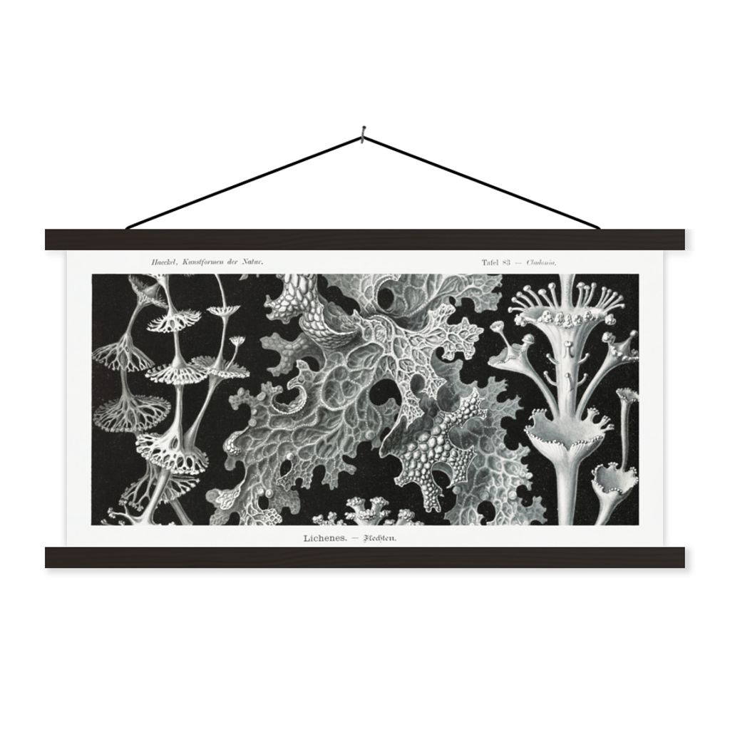 MuchoWow Textilposter Kunst - Koralle - Ernst Haeckel - Alte Meister - Natur 90x45 cm mit schwarzem Rahmen - Klemmleisten