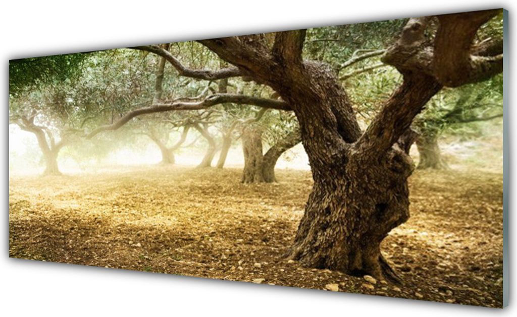 Glasbilder 125x50 Wandbild Druck auf Glas Bäume Gras Natur