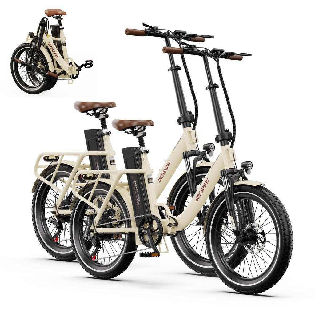 Onesport (2 Stück) 20 Zoll Elektrofahrrad Pedelec,E-Klapprad 48V/17Ah,250W Motor,25km/h,E-Bike