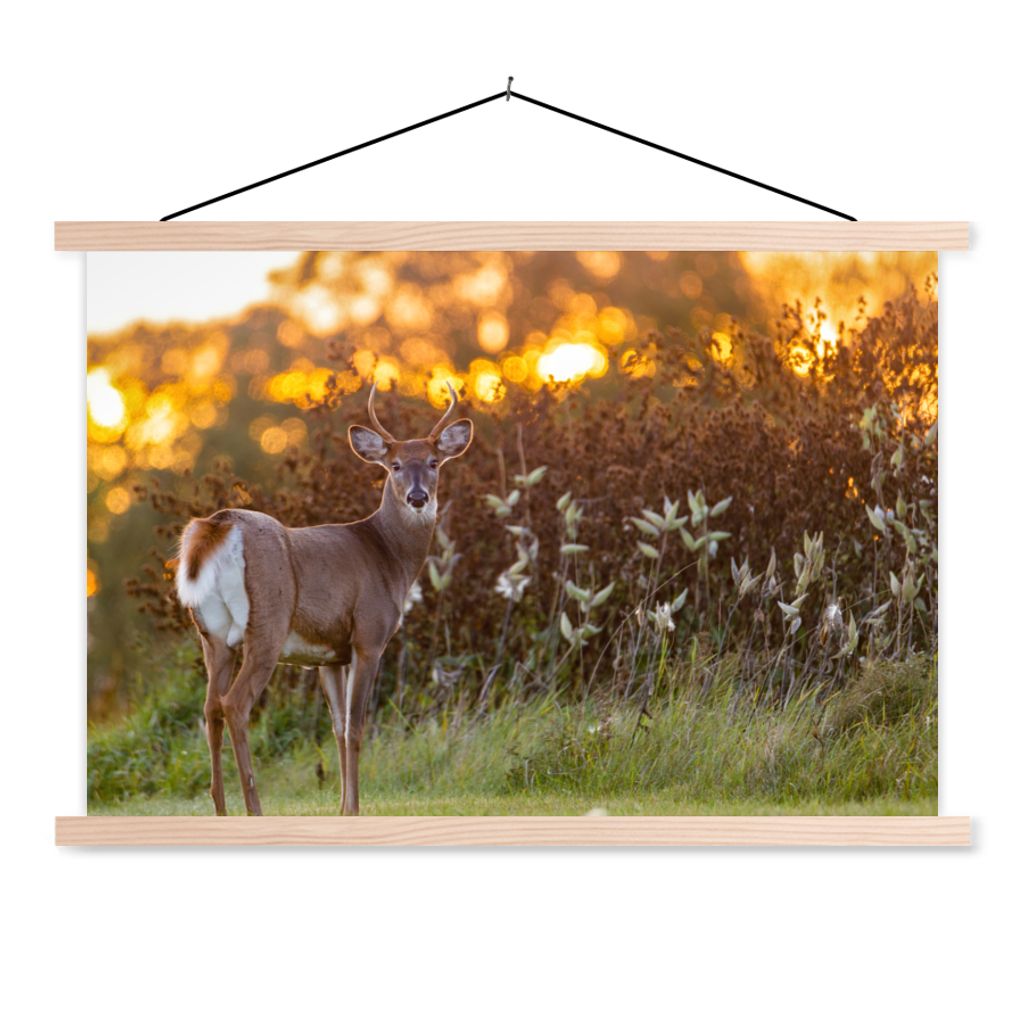 MuchoWow Textilposter Hirsche - Pflanzen - Sonnenuntergang - Wildtiere - Natur 120x80 cm mit holzfarbenen Rahmen - Aufhängeset