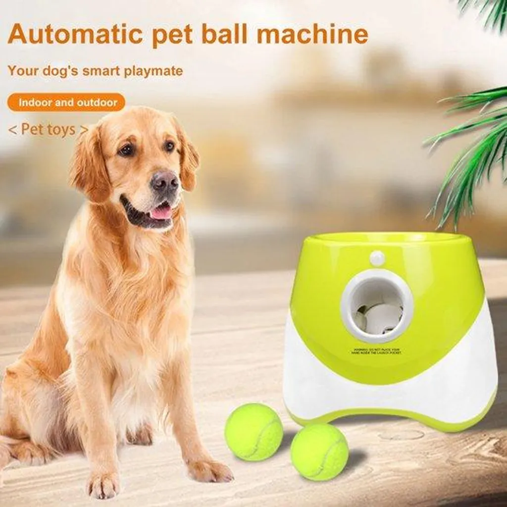 Lanceur automatique de balles pour chien idéal pour jouer seul dehors