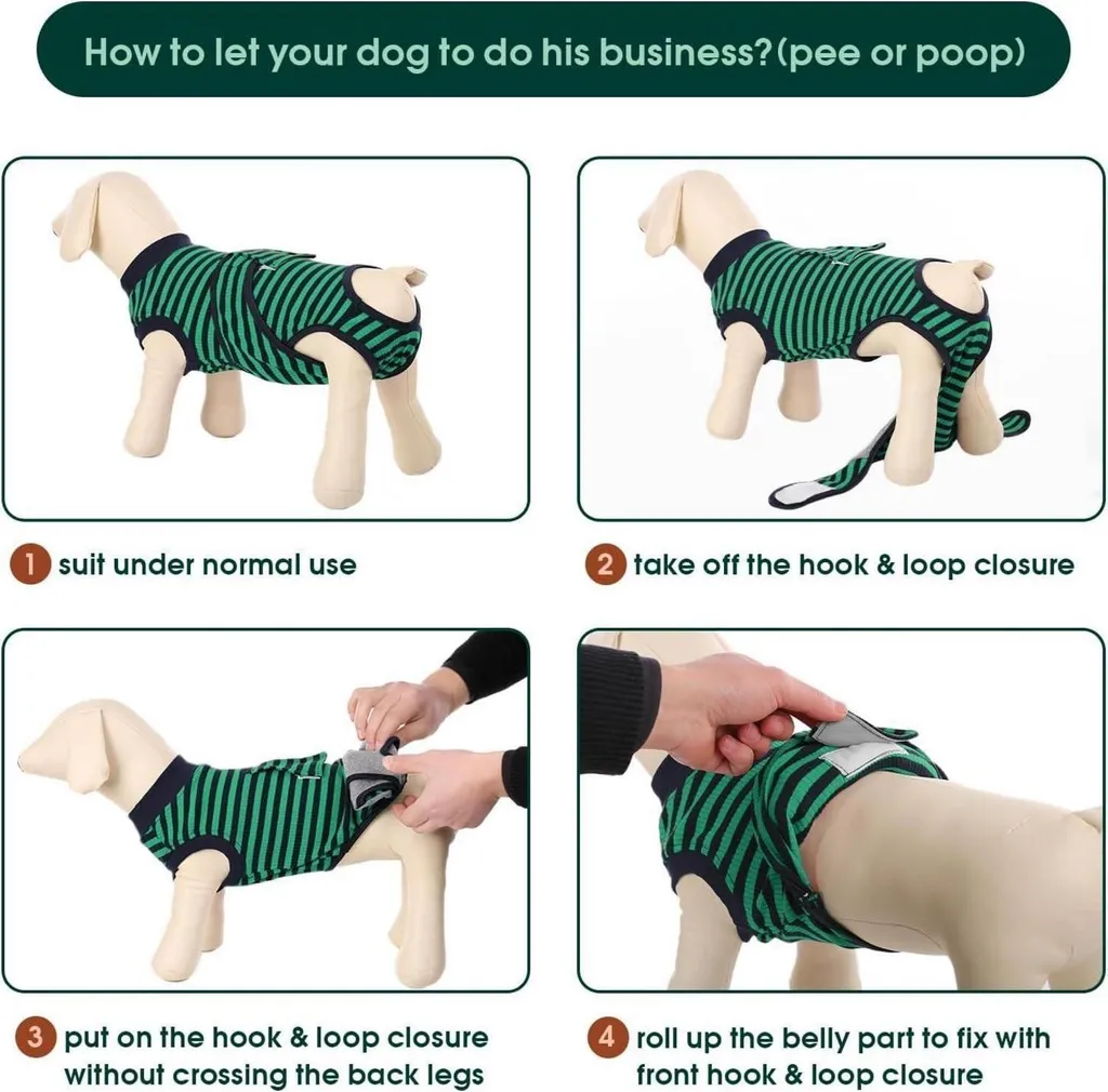 Combinaison de récupération pour chien XXL vert post-stérilisation