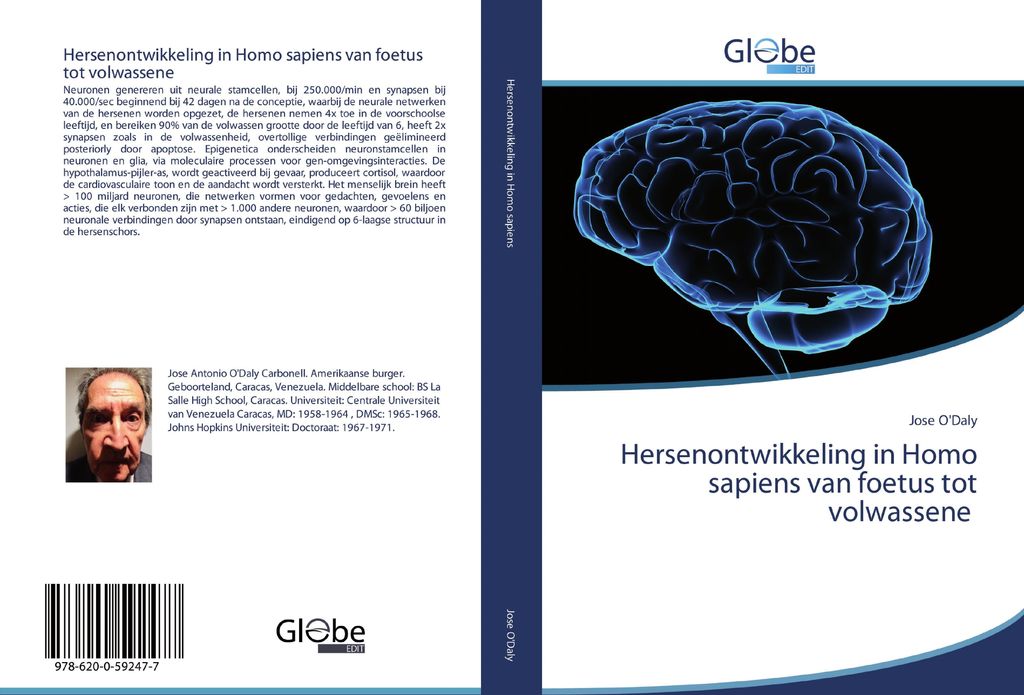 Hersenontwikkeling in Homo sapiens van foetus tot volwassene
