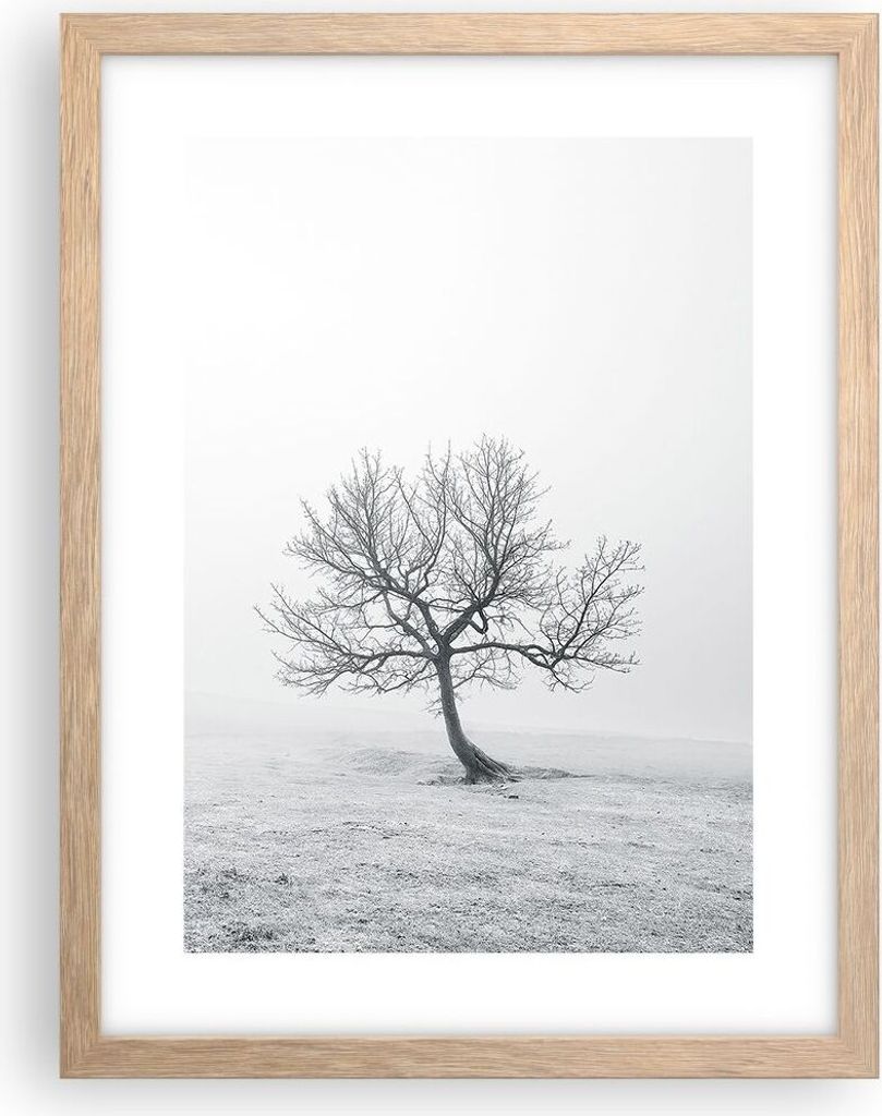 Gerahmtes Poster - Rahmen in heller Eiche - Baum Feld Natur - 30x40 cm - Wand Bild - Wanddeko - Wandbilder - Kunstposter - Wandposter - Bilderrahme...