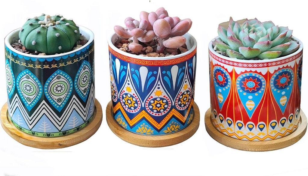 Sukkulenten Pflanzenpot mit Drainage und Bambusuntersetzer - Set von 3 Mini-Blumentöpfen mit Unterteller (Mandala)