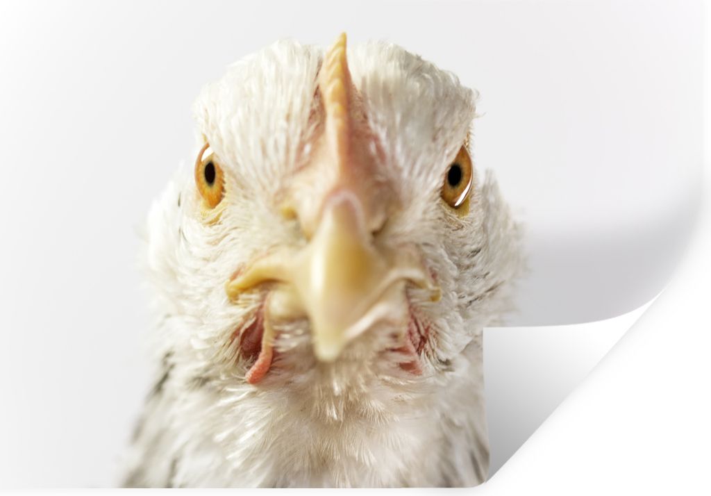 MuchoWow - Aufkleber