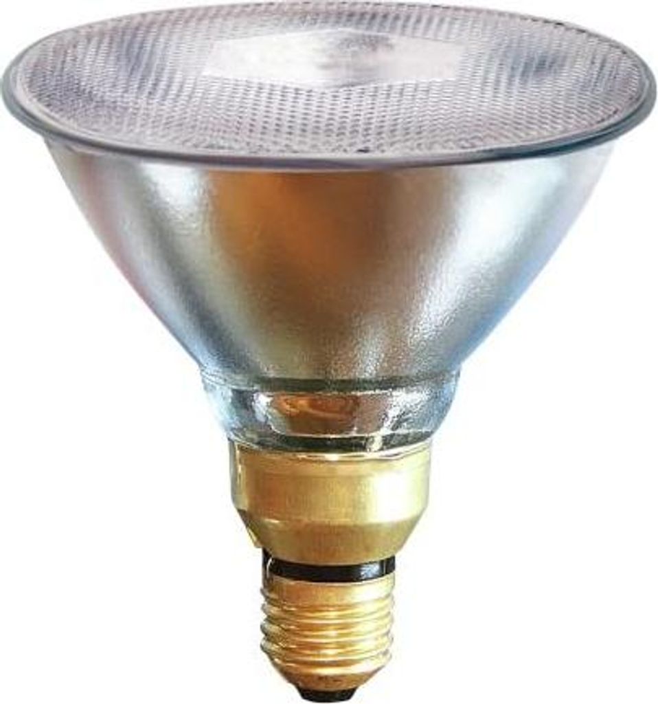 Kerbl Infrarotlampe klar 250 W, Wörmelampe för Schweine + Geflögel, Stalllampe