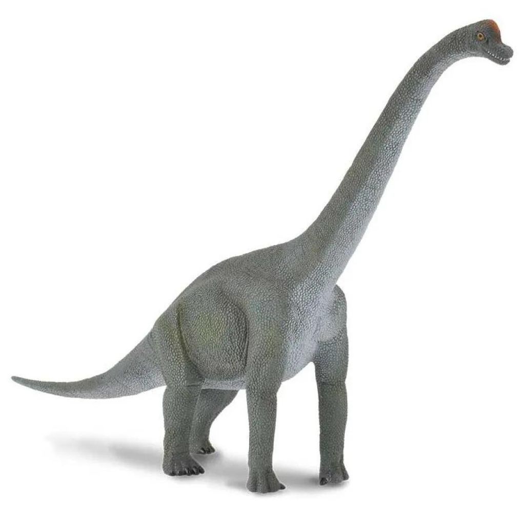 Collecta - Brachiosauro -L- 88121 (90188121) COLECTA Immagine del prodotto 
