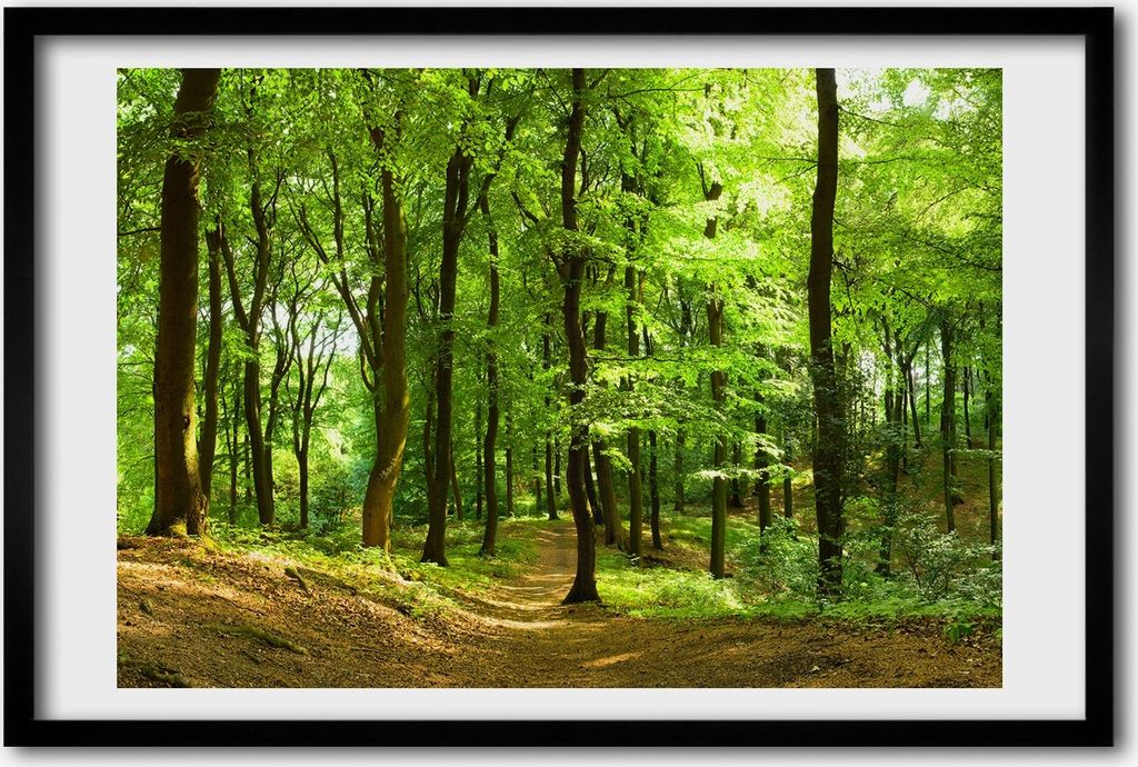Bild 60x40 MDF-Rahmen, Wandkunst Forstweg Produktbild 