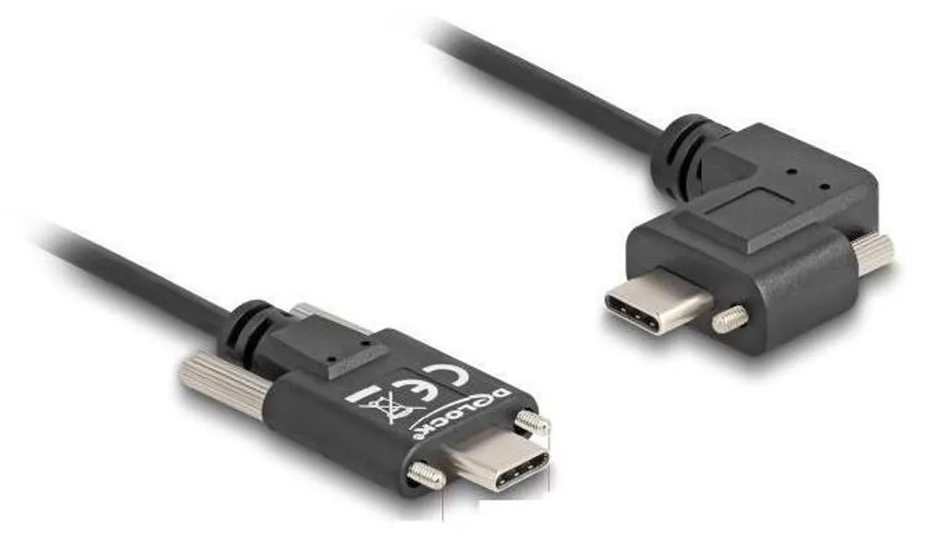 Delock Câble USB 2.0 Type-C mâle haute vitesse 1m noir pour transfert