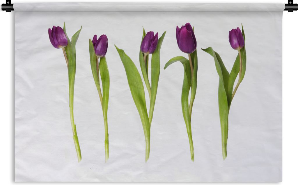 MuchoWow Wandteppich Wandbehang Fünf Tulpen in einer Reihe 90x60 cm Tapisserie Dekoration Wandtuch - Wandskulpturen - Bildteppich