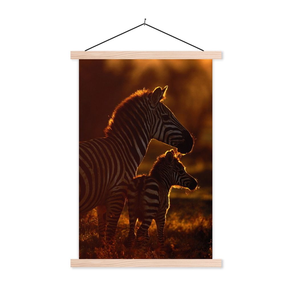 MuchoWow Textilposter Zebra - Sonne - Fohlen 40x60 cm mit holzfarbenen Rahmen - Poster
