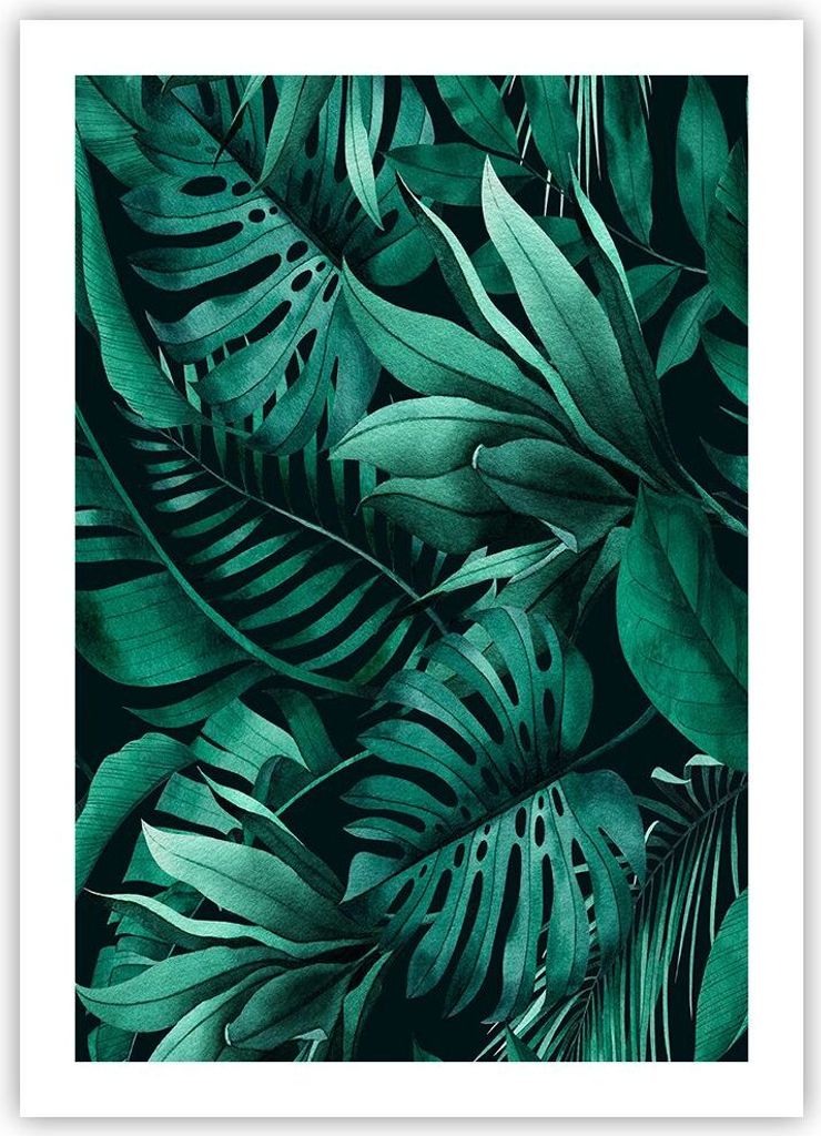 Poster - Poster ohne Rahmen - Blätter Grafiken Monstera - 50x70 cm - Wand Bild - Wanddeko - Wandbilder - Kunstposter - Wandposter - Bilder - Kunst...
