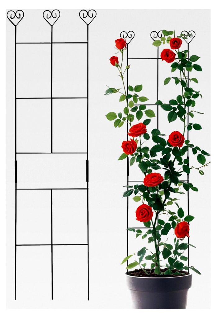 Rankgitter für Kletterpflanzen, Blumen-Rankhilfe für den Außenbereich | Gartenzubehör und wetterfeste Gitterkonstruktion für Zimmerpflanzen wi...