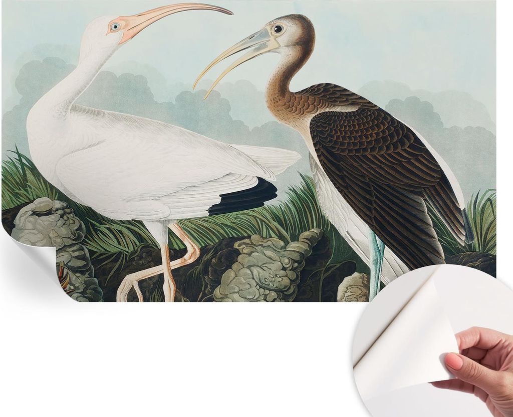 Selbstklebende Wandtapete - Dekorative Tapete für Wohnzimmer - Klebefolie für Wandbilder - Tapetenfolie für Wanddekoration - 416x254 - Vogelpaar