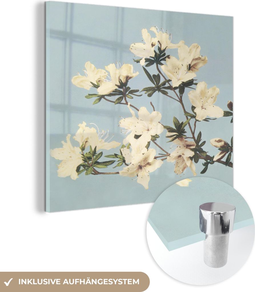 MuchoWow Glasbilder - Bilder auf Wandbild - Foto auf Glas Vintage - Blumen - Weiß - Natur 20x20 cm Wanddekoration aus Glas - Acrylglasbild - Acryl...