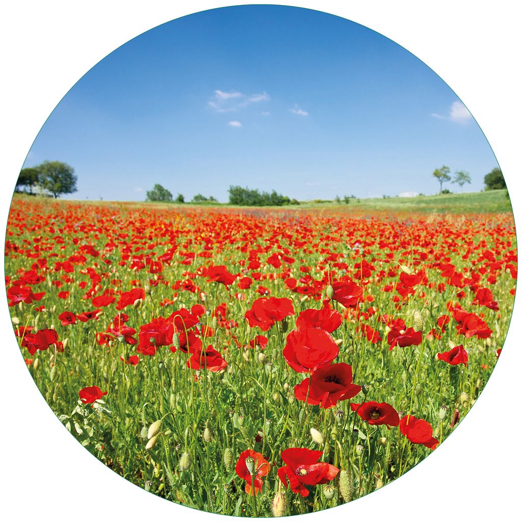 Wallario Premium Glasbild, freischwebende Optik, kräftige Farben, rund 50cm Durchmesser, Motiv Mohnblumenfeld- rote Blumen unter blauem Himmel